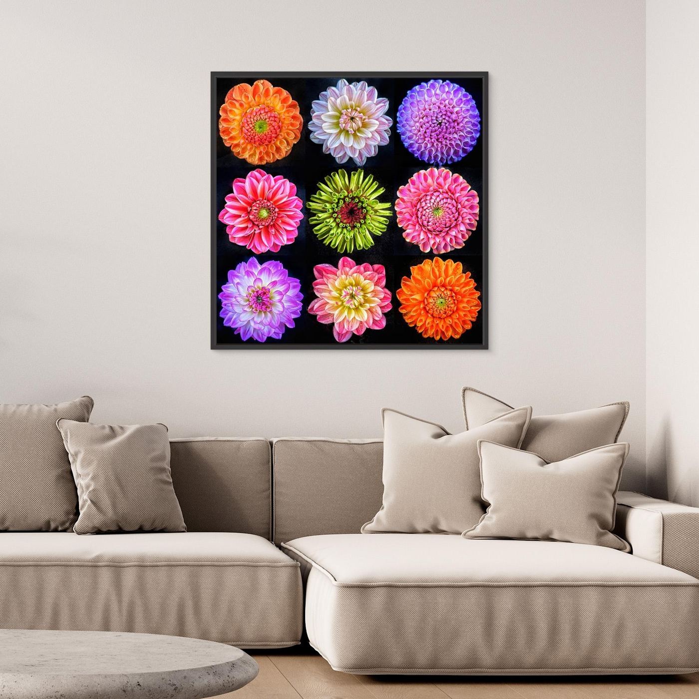 Dahlias & Zinnia