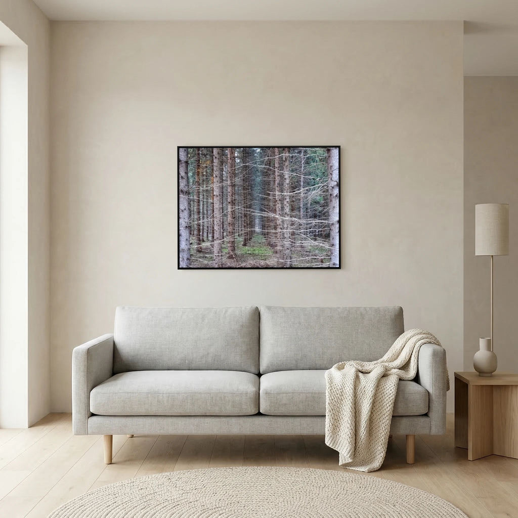 Forest Field I
