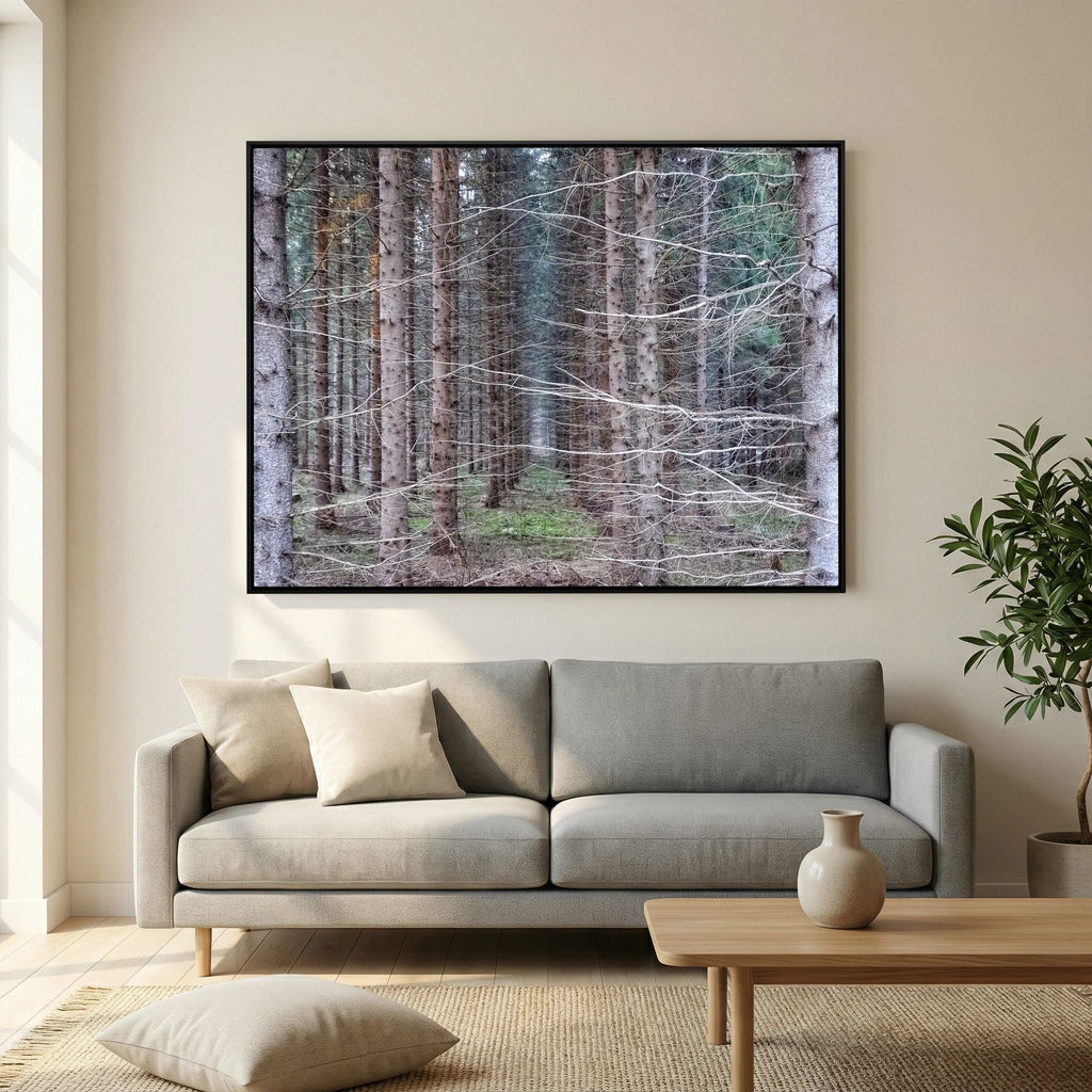 Forest Field I