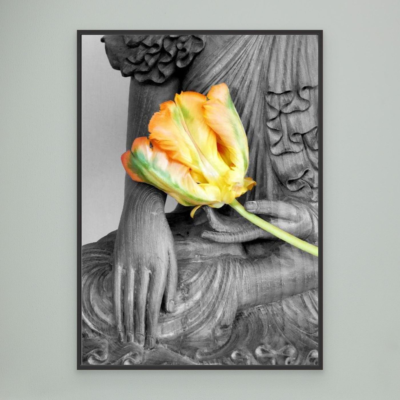 Budda Tulip