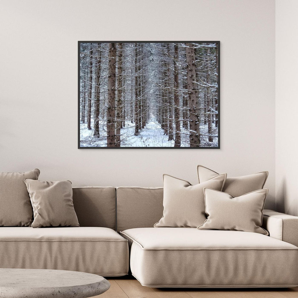 Forest field II