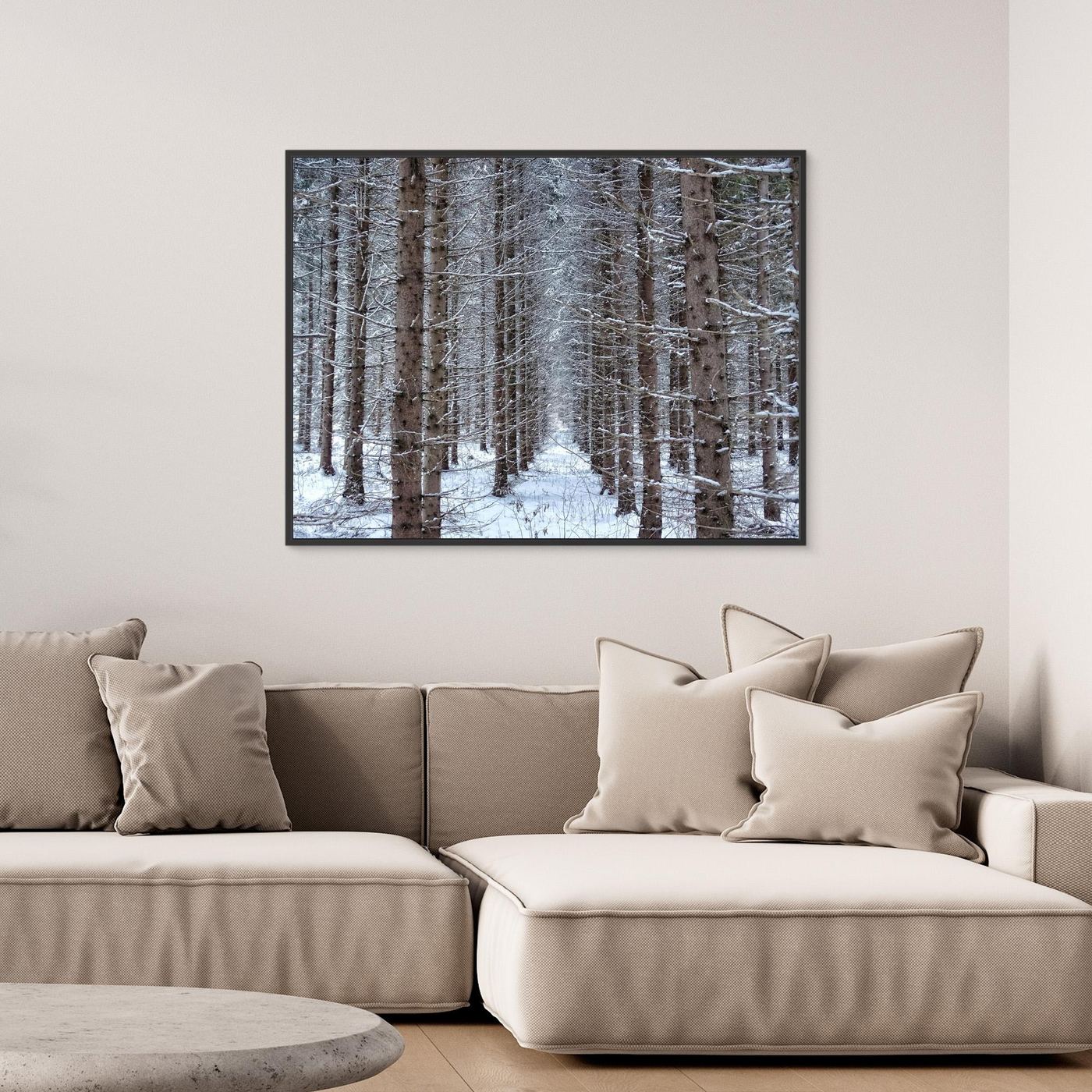 Forest field II