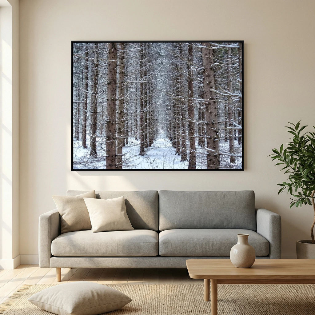 Forest field II