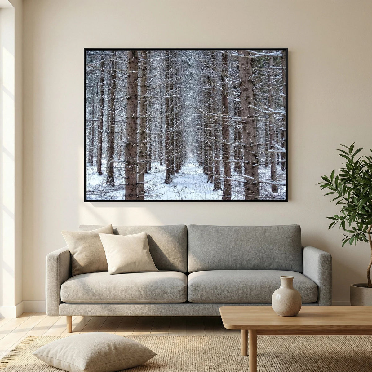Forest field II