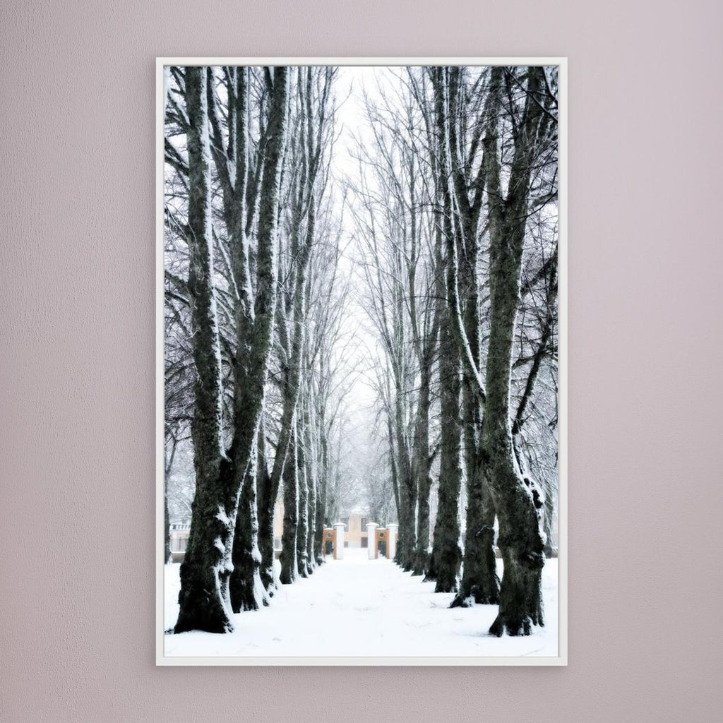 Lindallé Linden trees