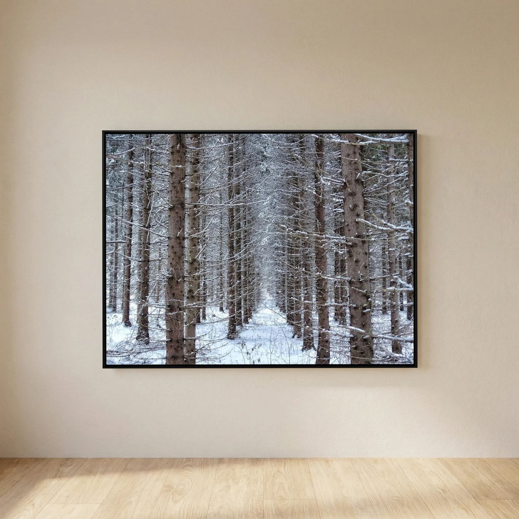 Forest field II
