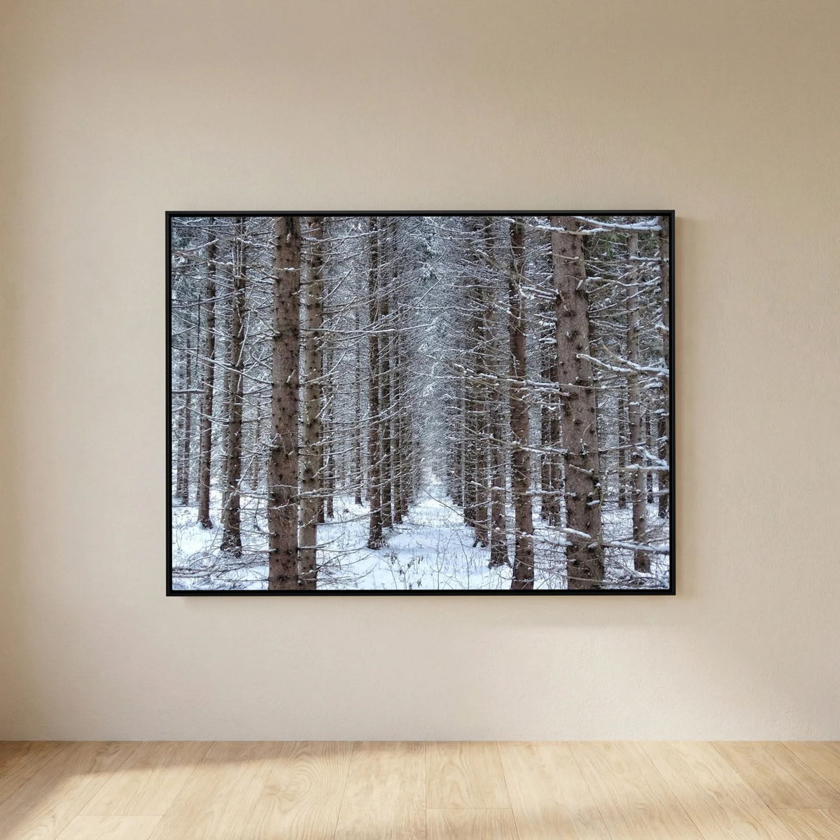 Forest field II
