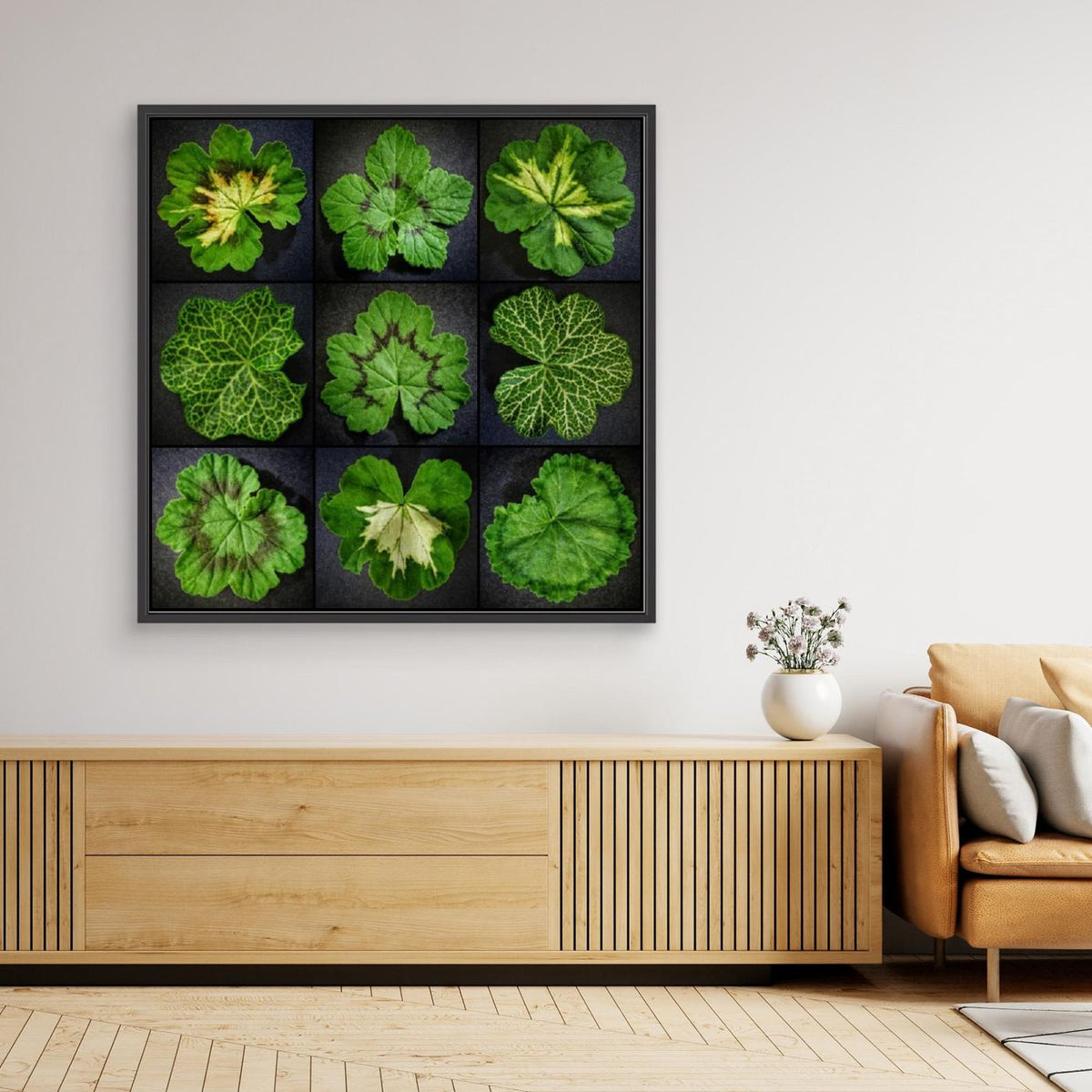 Pelargonium Leafs