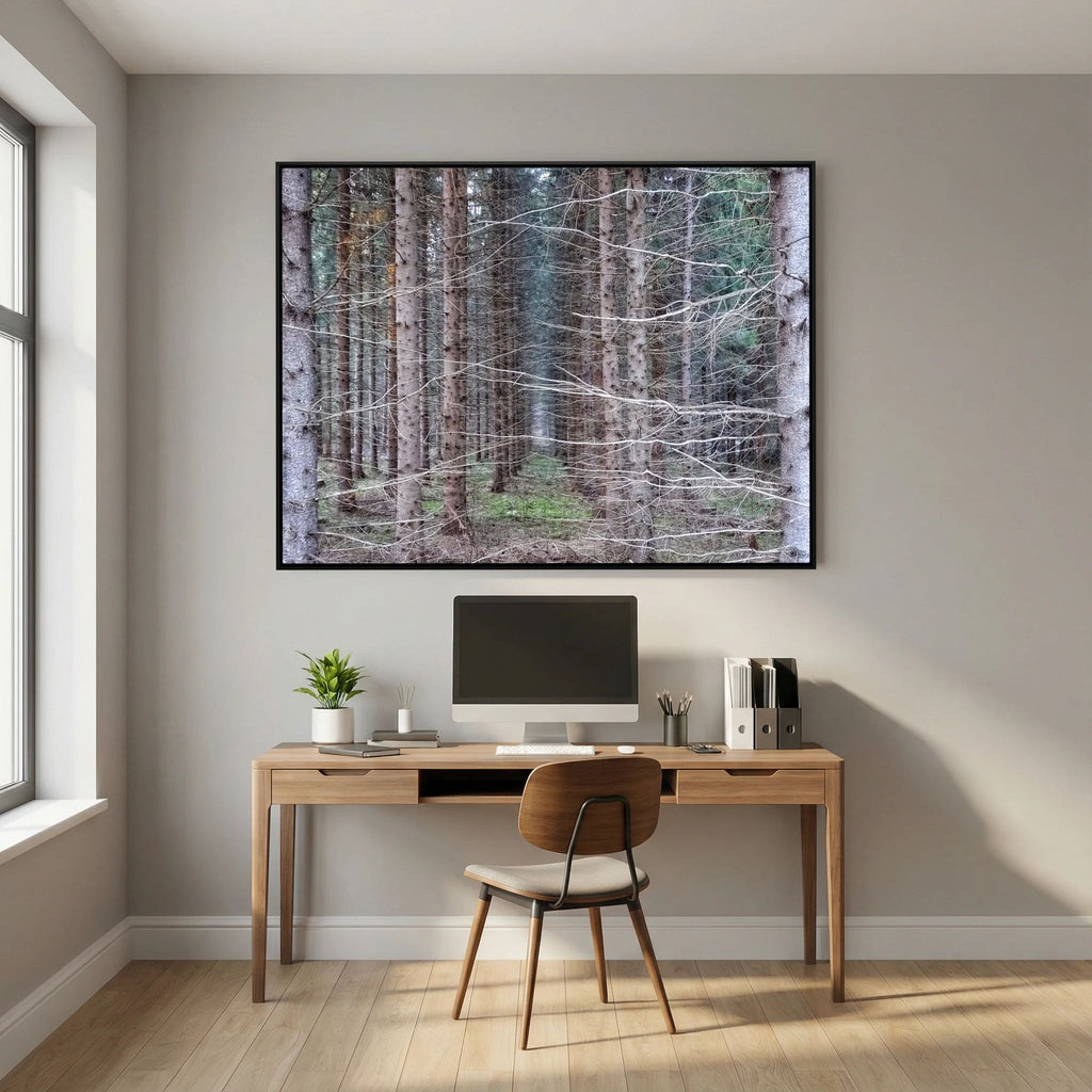 Forest Field I