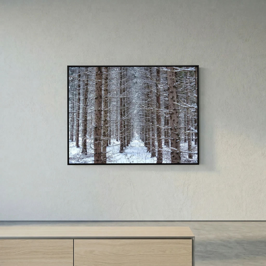 Forest field II