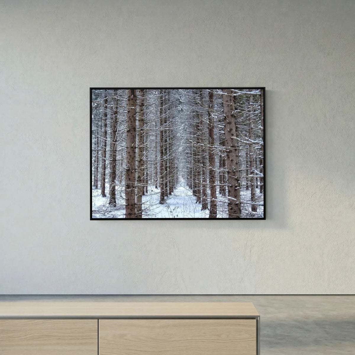 Forest field II