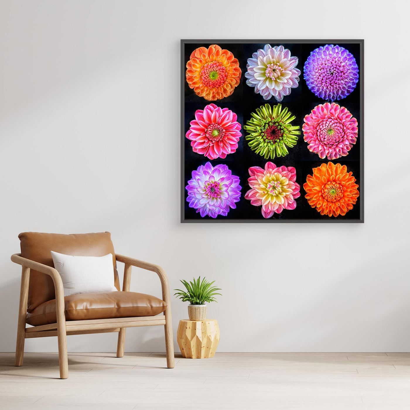 Dahlias & Zinnia