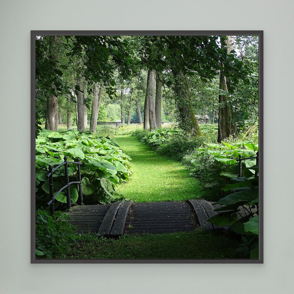 Meadow II