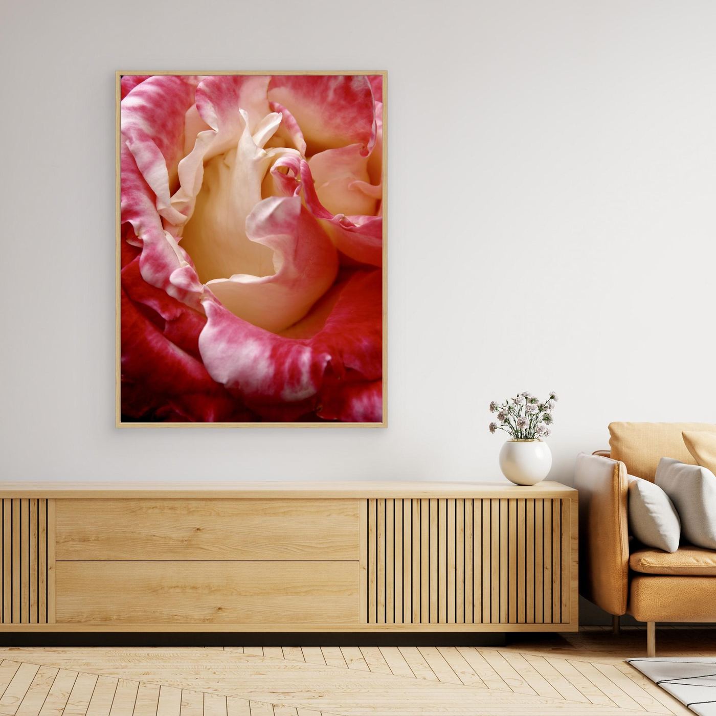 Ros Portland Rose