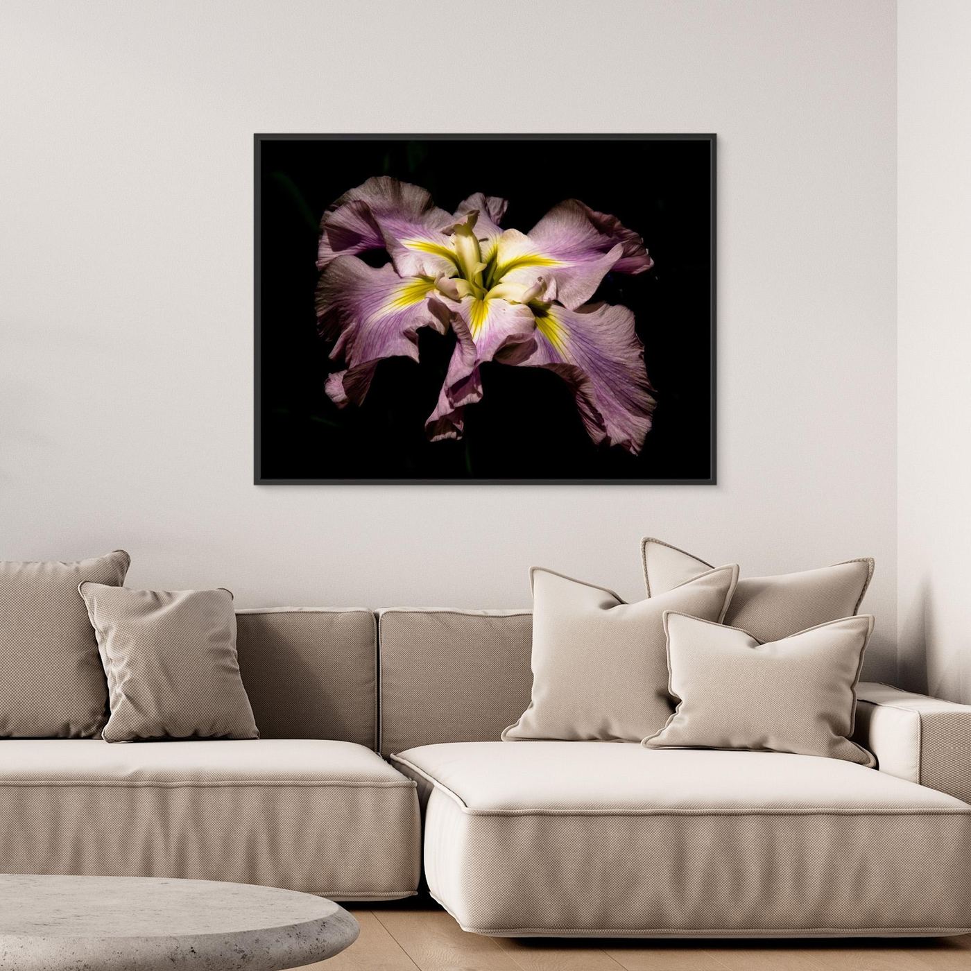 Iris Portland