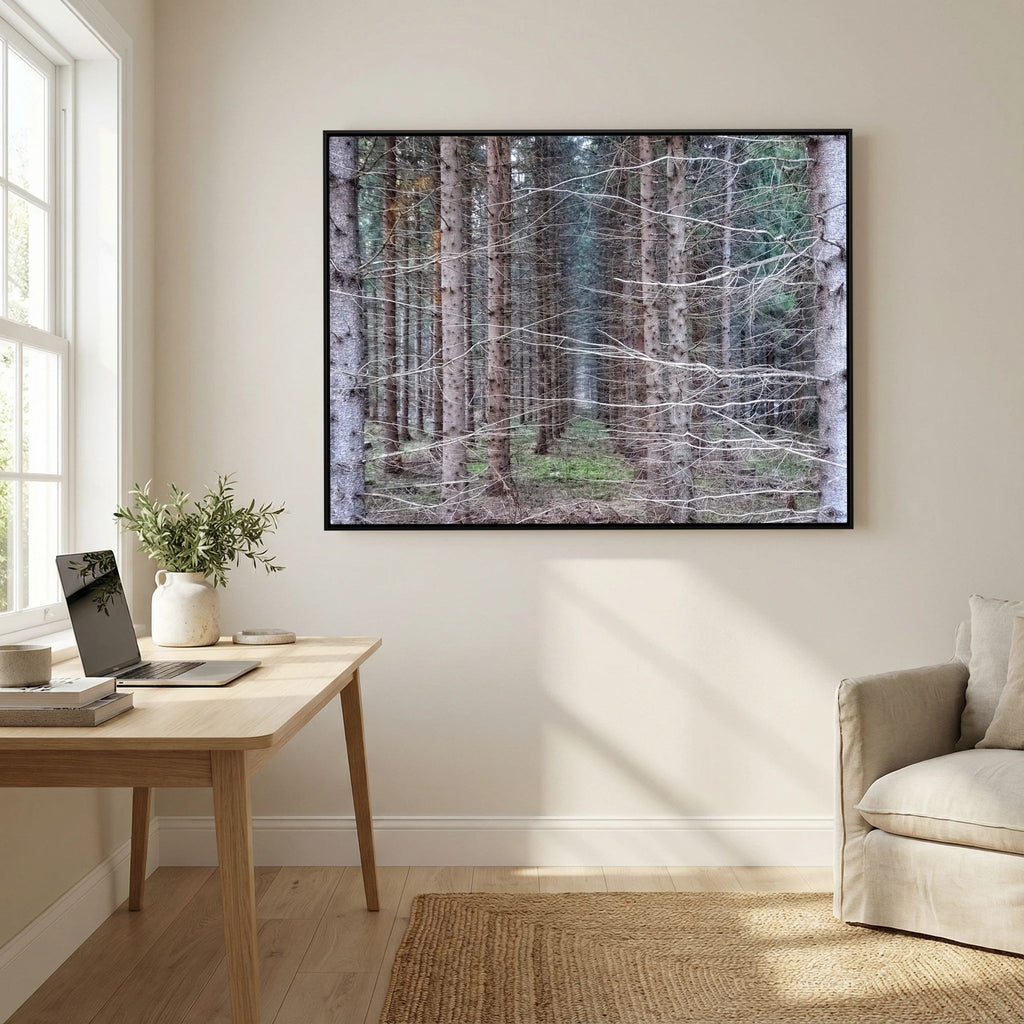 Forest Field I