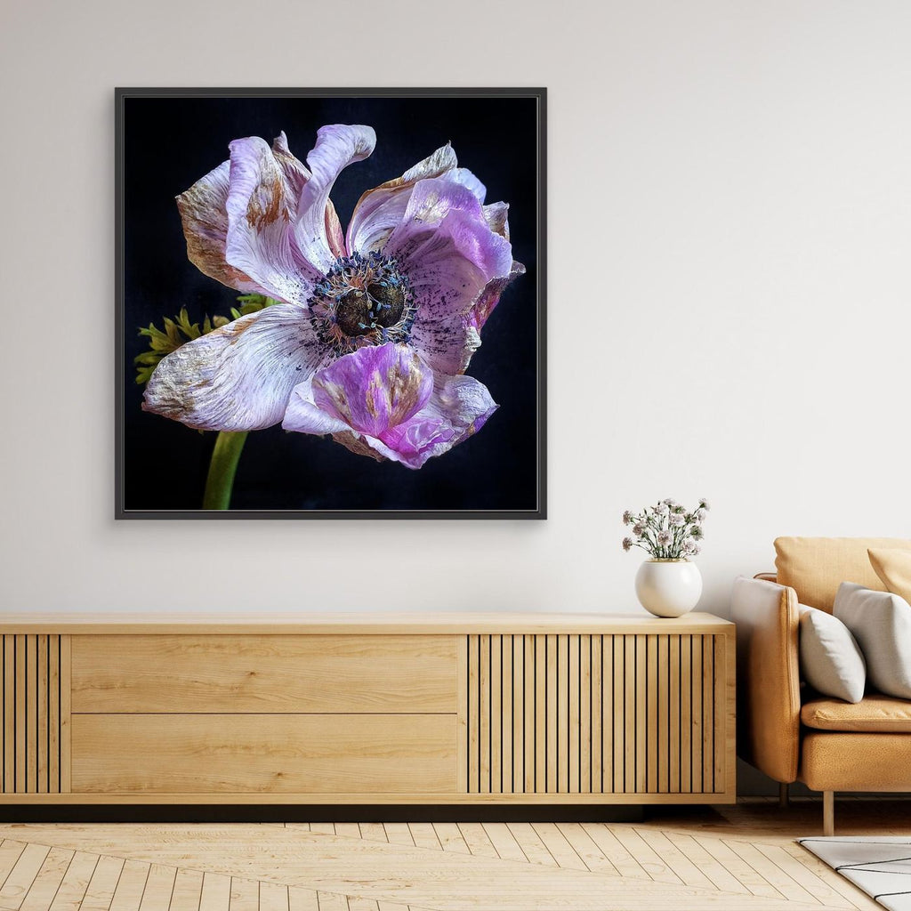 Bedagad Anemone II Faded