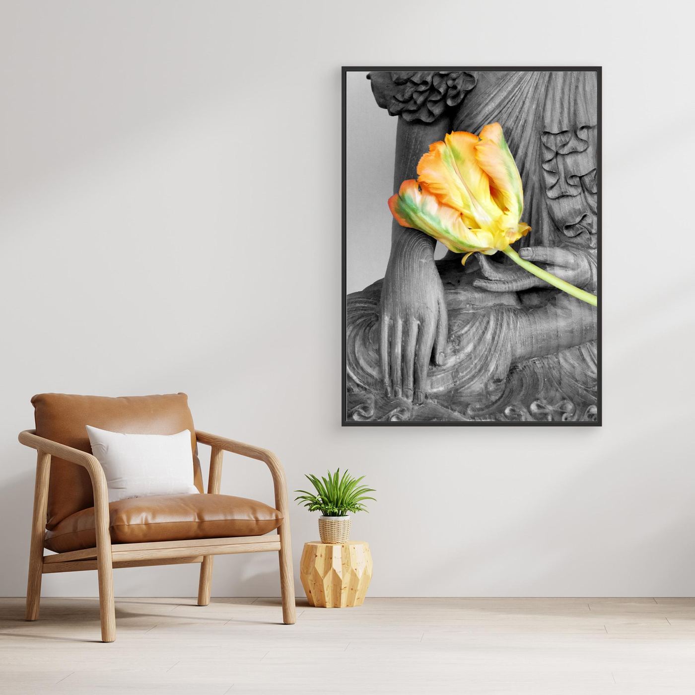 Budda Tulip