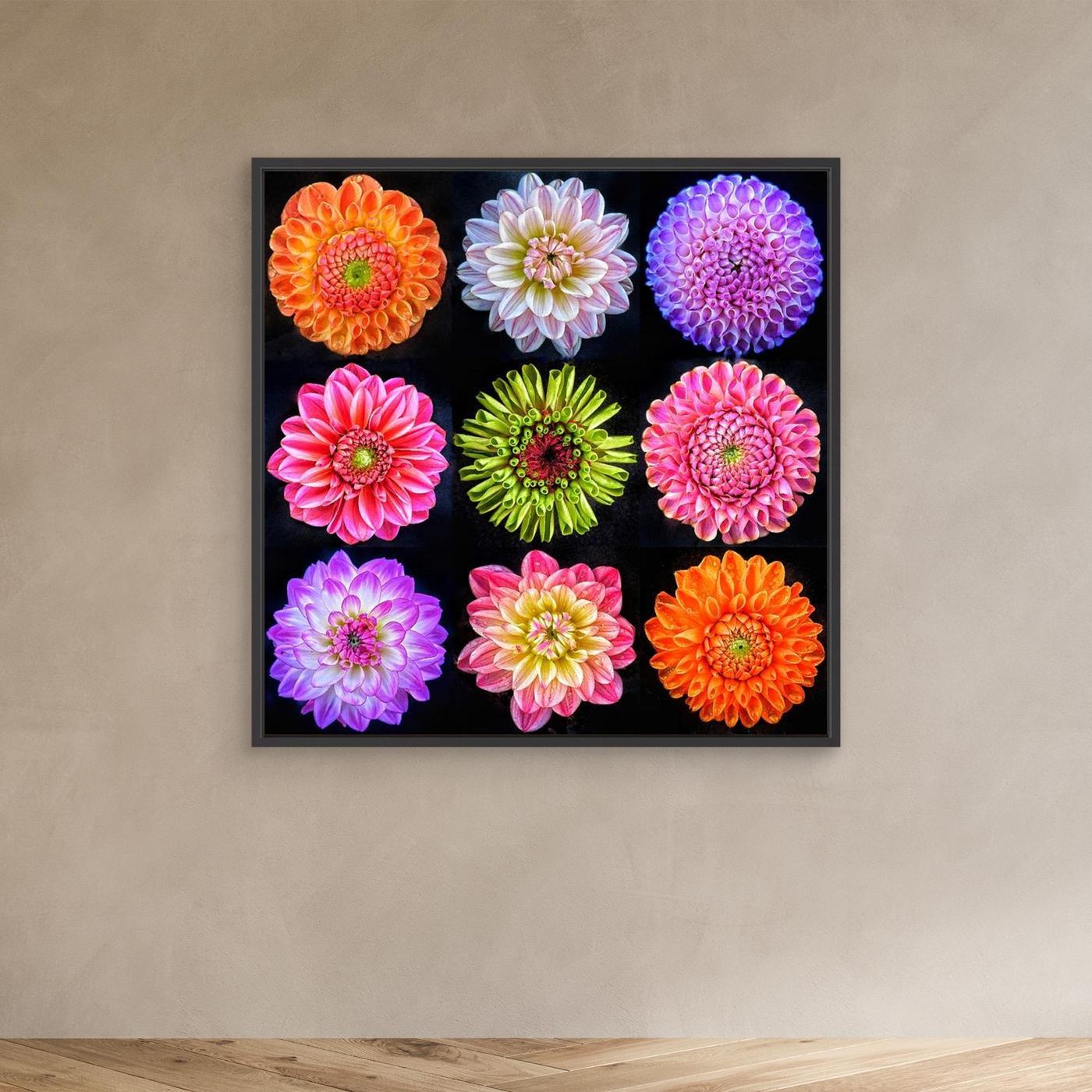 Dahlias & Zinnia