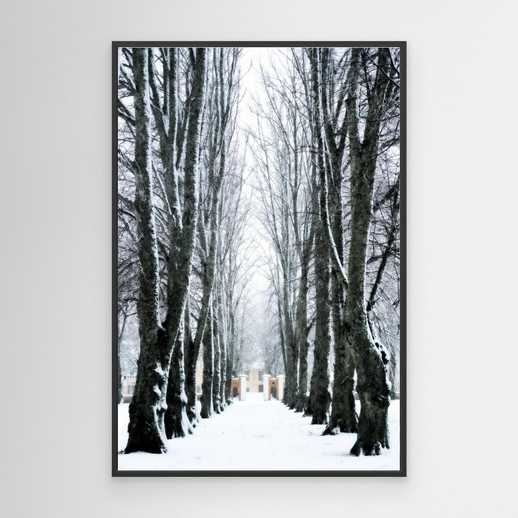 Lindallé Linden trees