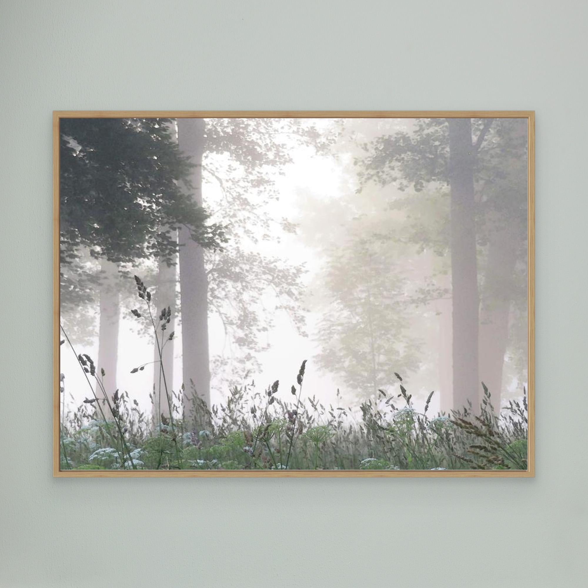 Sommarmorgon Summer Morning