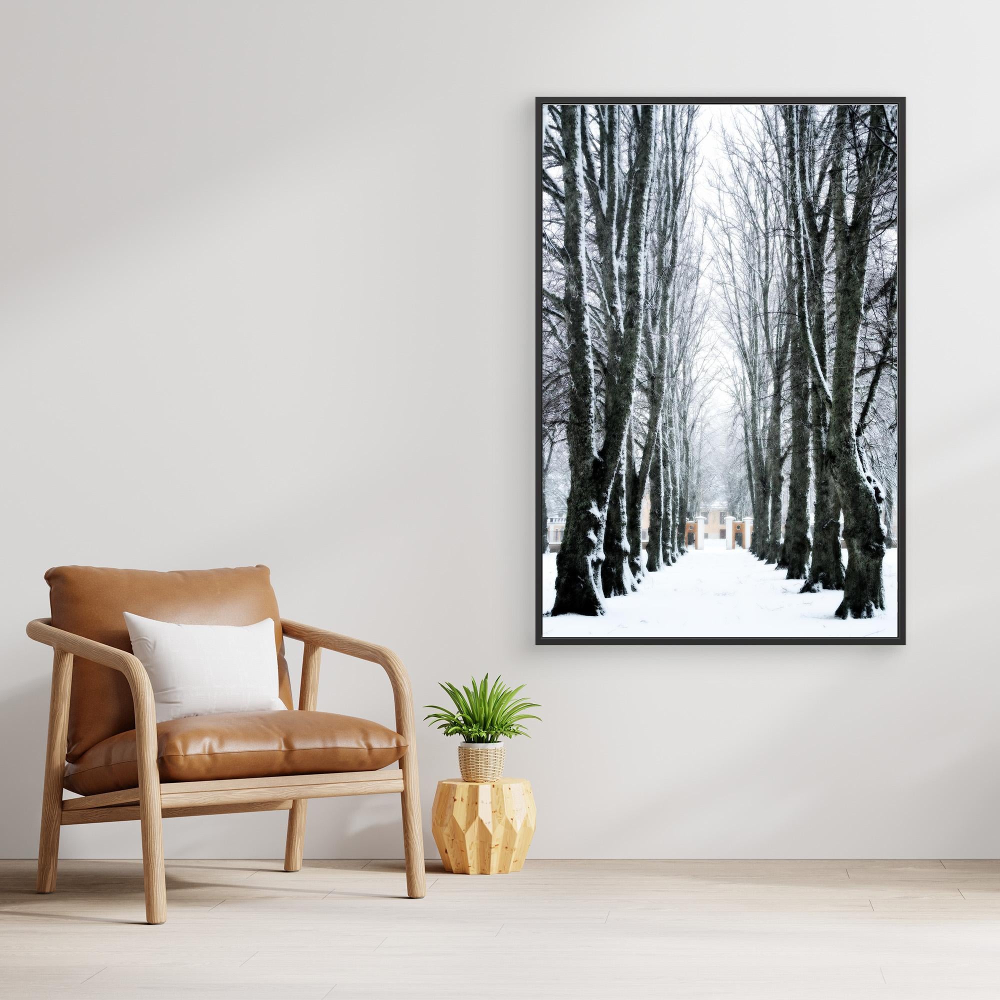 Lindallé Linden trees