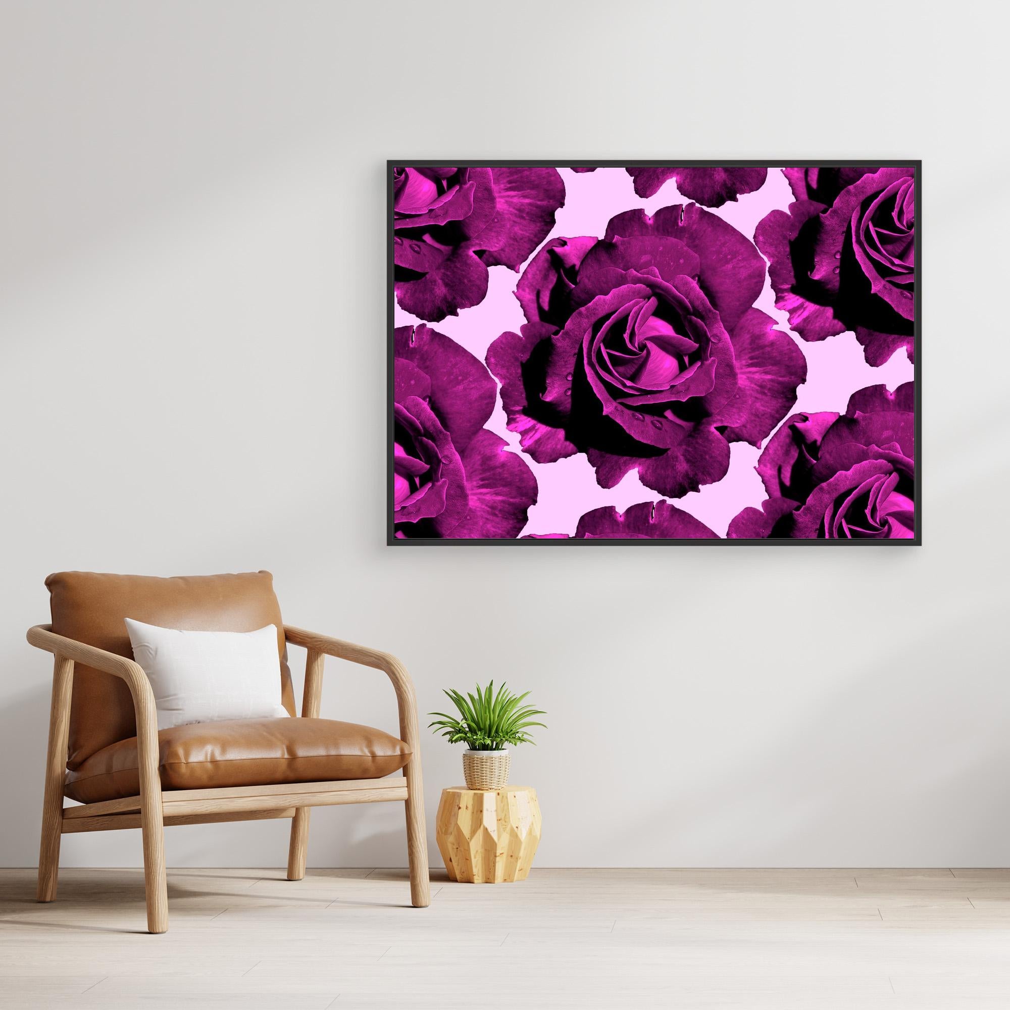 Ros Varas Chile Rose 07