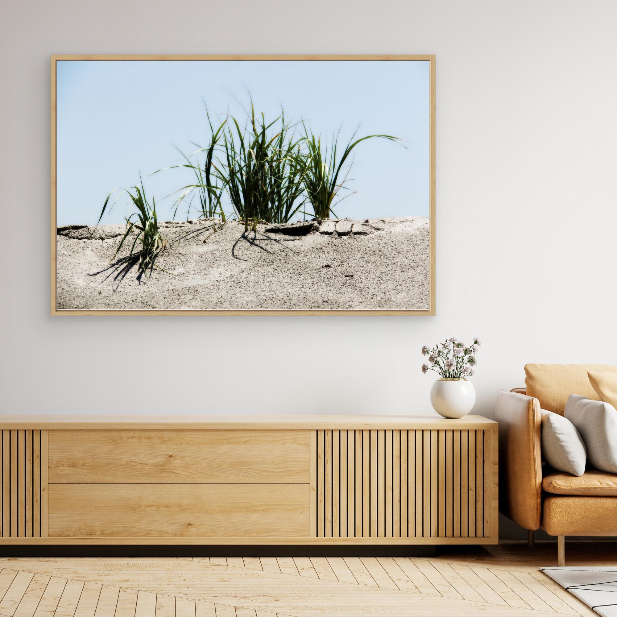 Jersey Shores USA 02