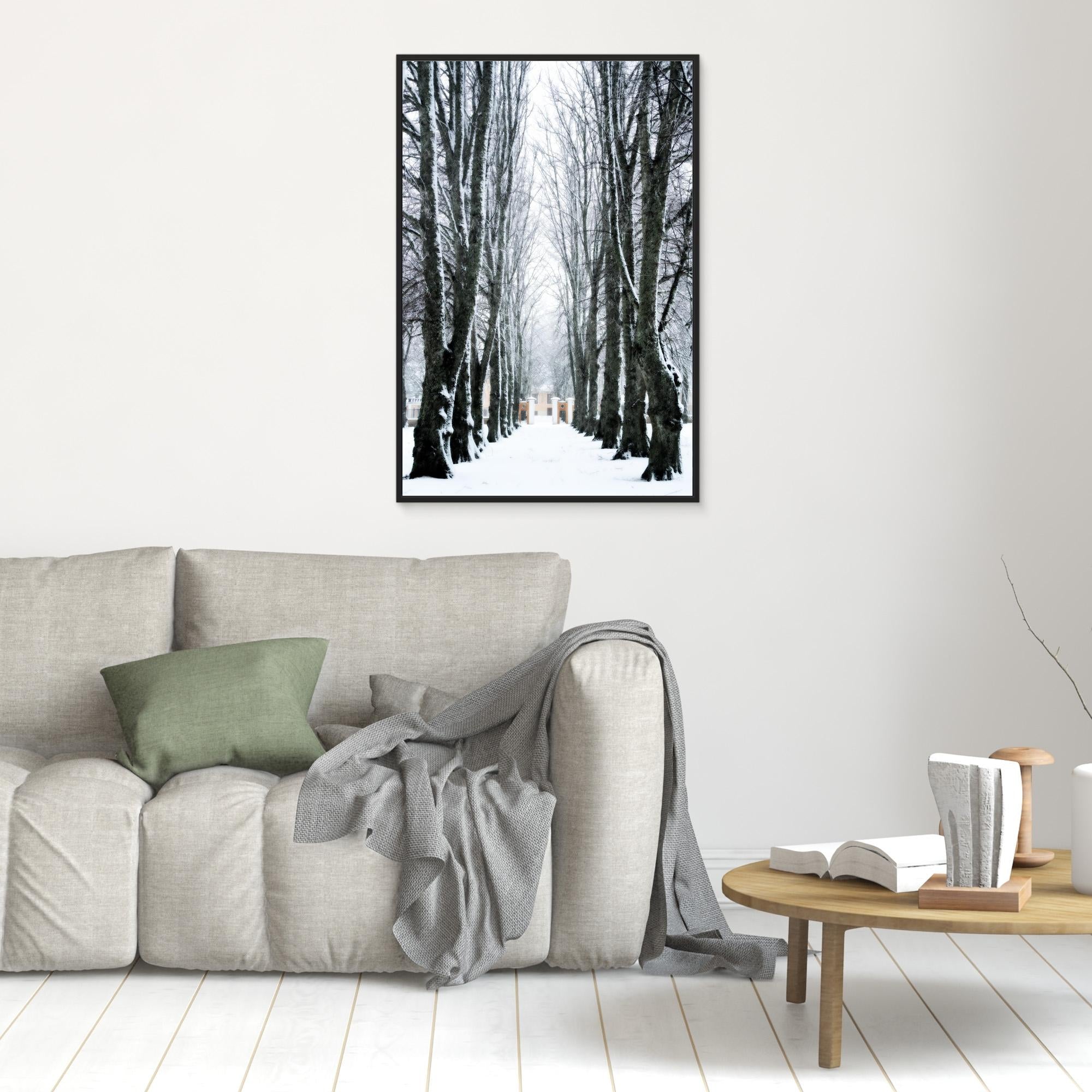 Lindallé Linden trees