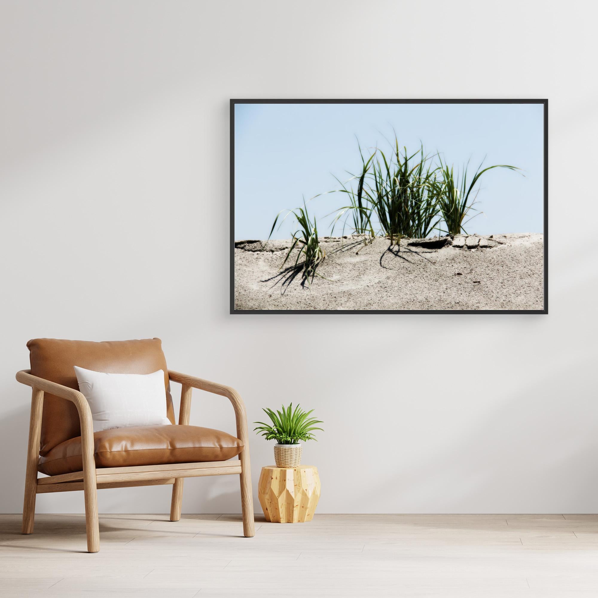 Jersey Shores USA 02