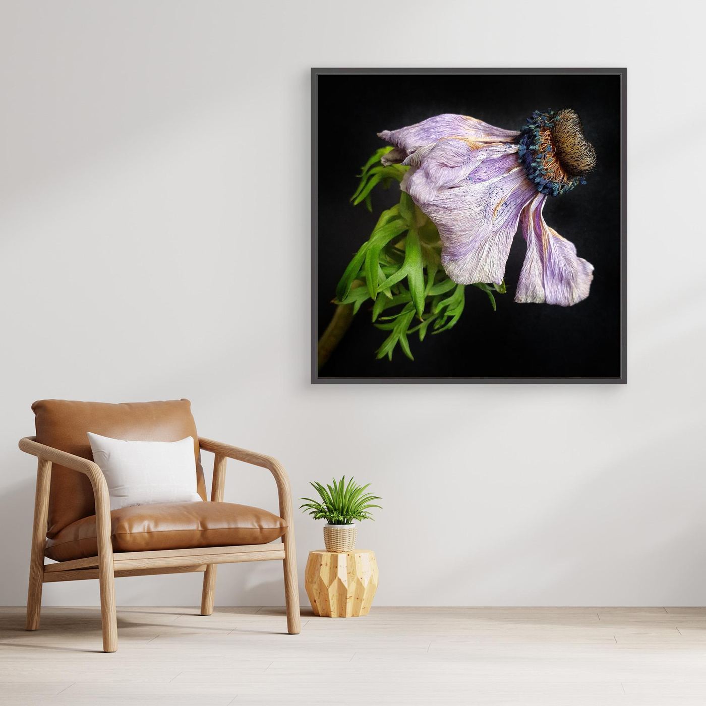 Bedagad Anemone Faded