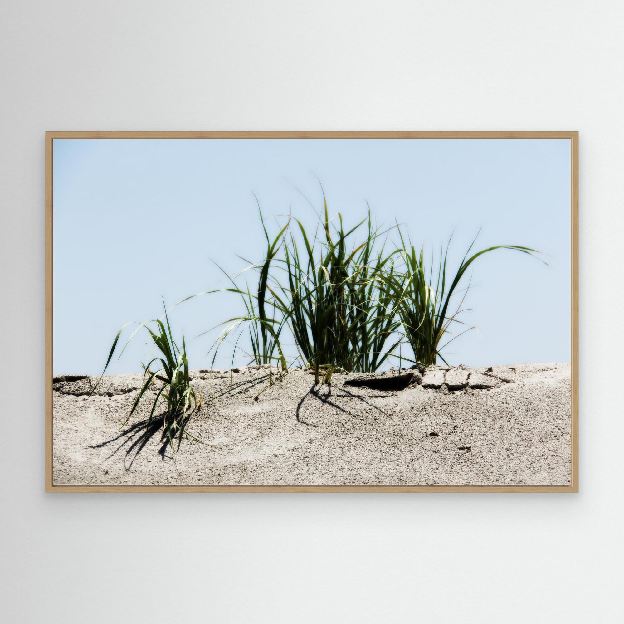 Jersey Shores USA 02