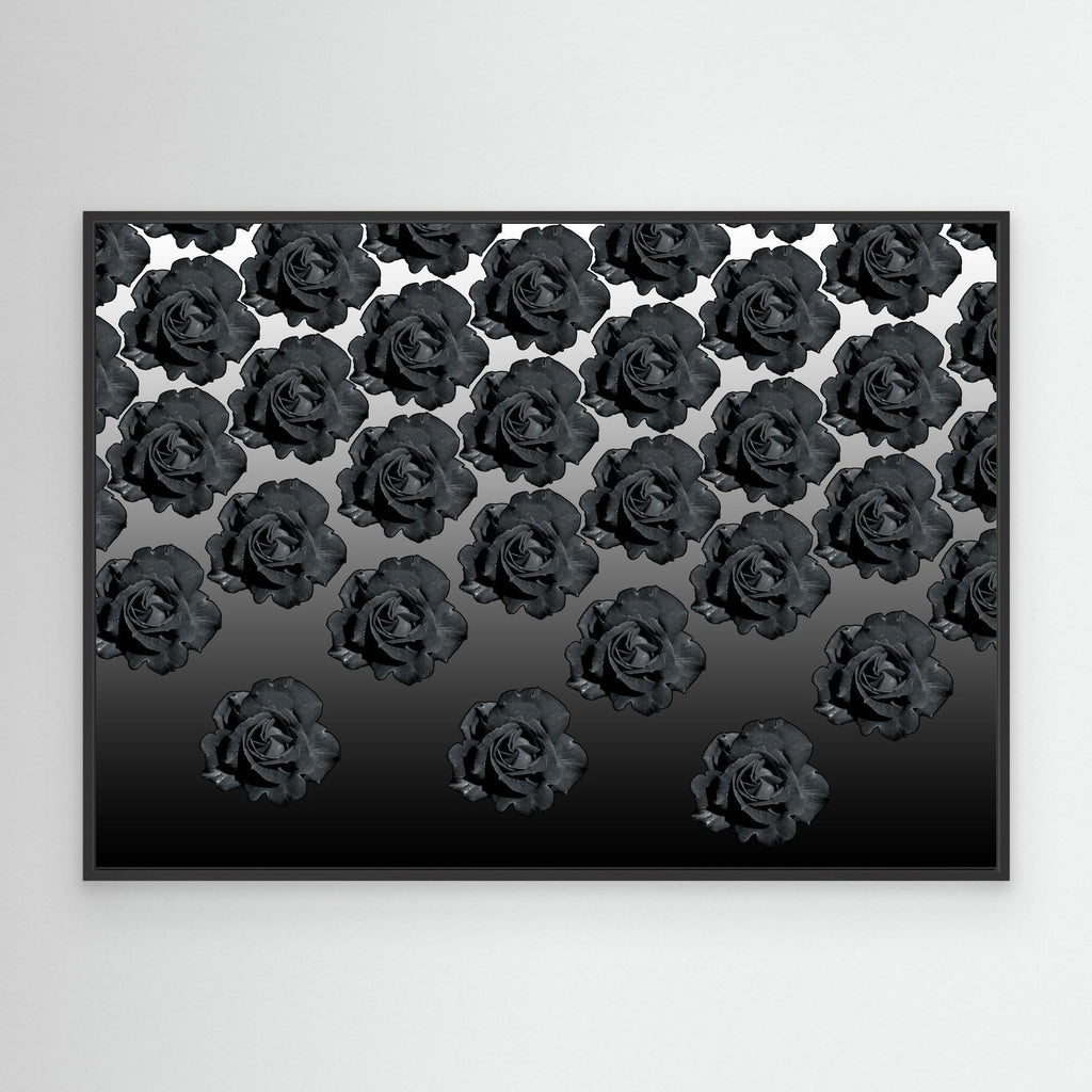 Ros Varas Chile Rose 06